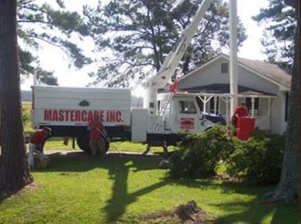 Trusted lawn care service with custom design in Myrtle Beach, SC by Mastercare Tree Service