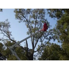 Trusted residential landscaping for homes across Myrtle Beach, SC - Mastercare Tree Service