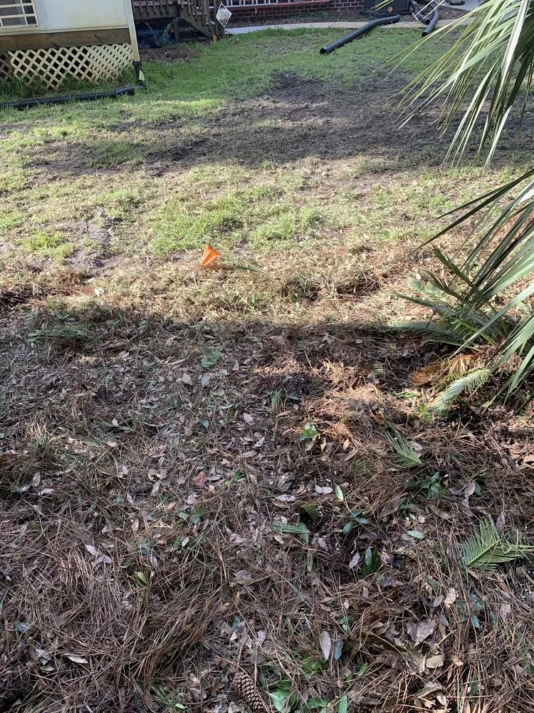 Local landscaping services in Myrtle Beach, SC - Mastercare Tree Service