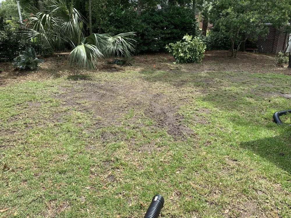 Reliable landscape design in Myrtle Beach, SC by Mastercare Tree Service