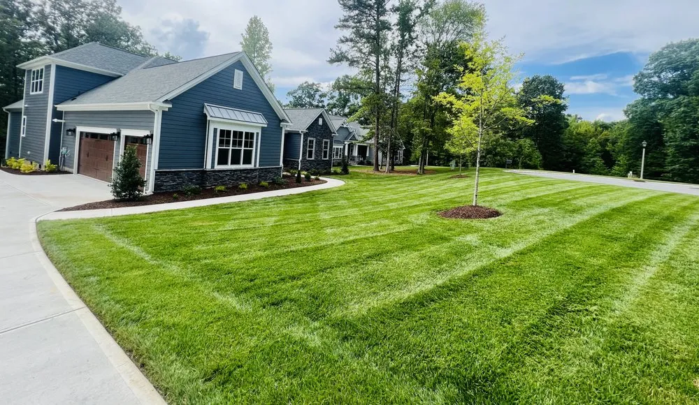 Professional landscape design in Davidson, NC - Masterclass Landscape