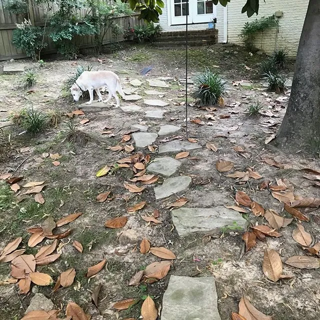 Top-rated lawn care service for beautiful yards across Oxford, MS - MasterCuts Lawn and Landscape