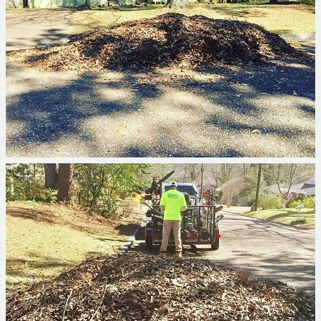 Reliable landscaping services for homes in Oxford, MS by MasterCuts Lawn and Landscape