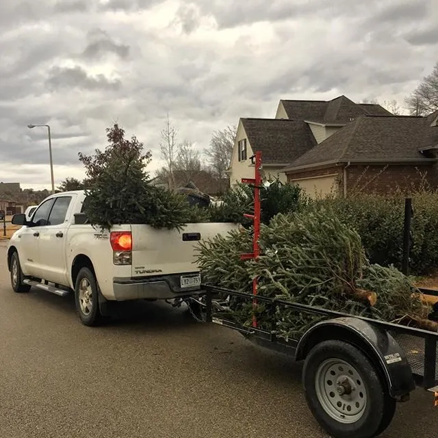 Expert lawn care service for homes across Oxford, MS - MasterCuts Lawn and Landscape