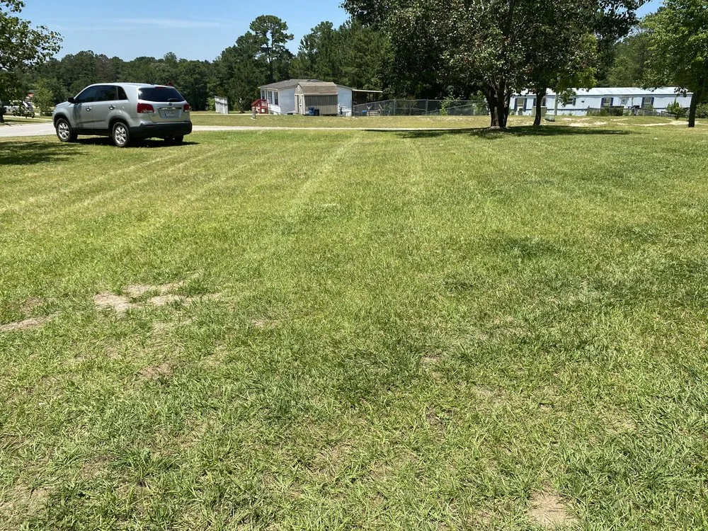 Expert landscape installation in Lexington, SC - Mastercuts Lawncare