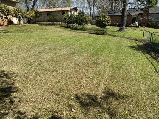 Mastercuts Lawncare Logo