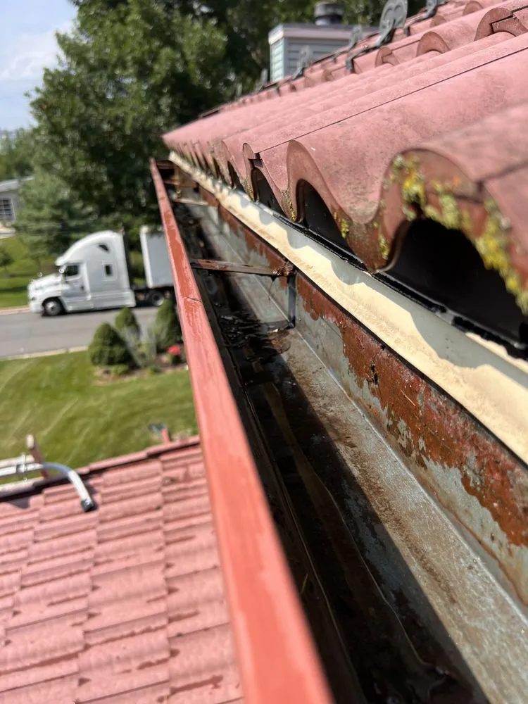 Professional landscaping services near you across Madison, WI - Masterful Home Cleaners