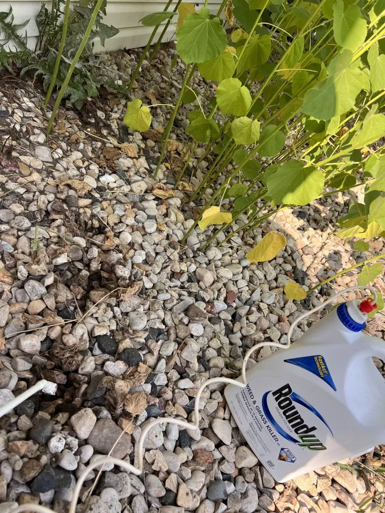 Professional yard cleanup service for homes in Madison, WI by Masterful Home Cleaners