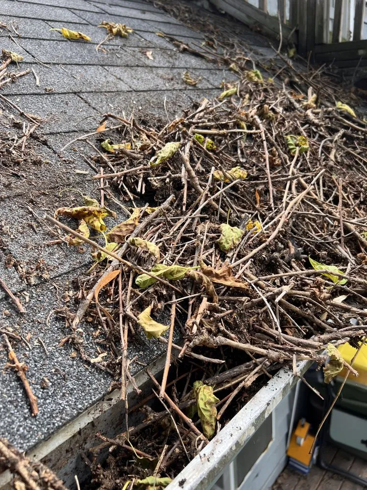 Top-rated garden landscaping experts serving Madison, WI - Masterful Home Cleaners