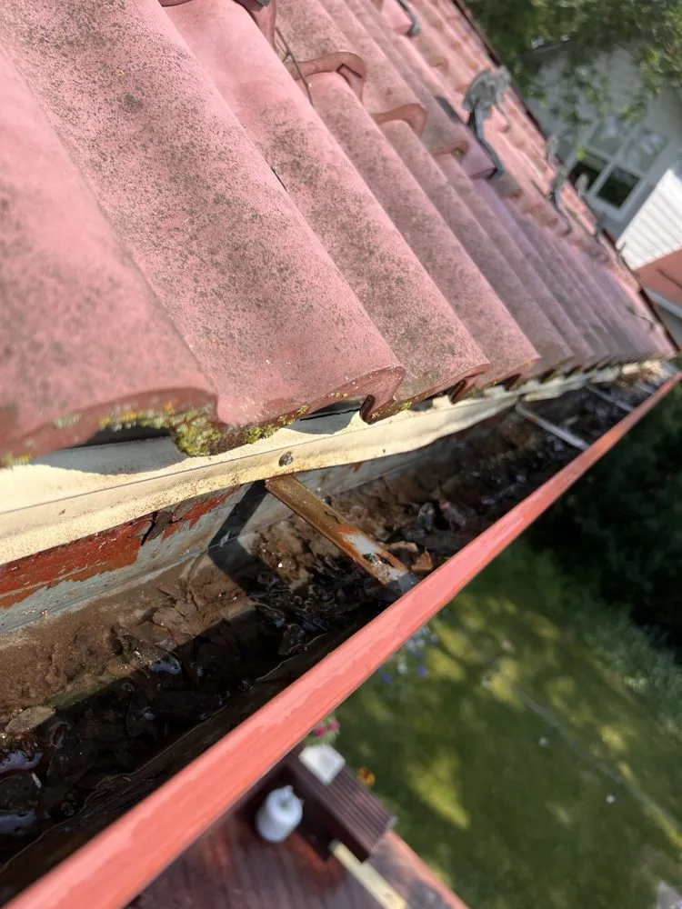 Custom residential landscaping in Madison, WI - Masterful Home Cleaners