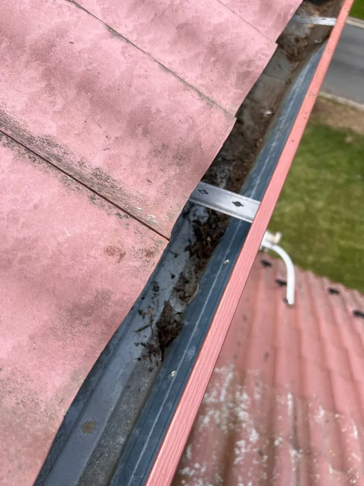 Local garden landscaping for homes in Madison, WI by Masterful Home Cleaners