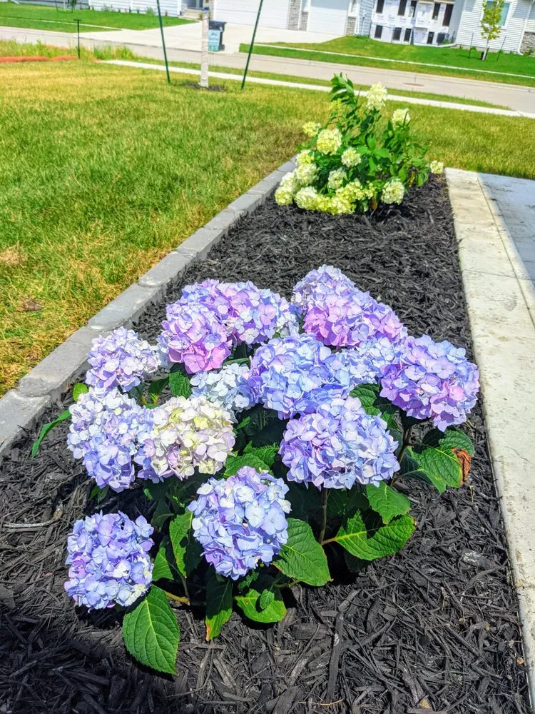 Expert landscape installation in Hubbard, IA by MasterGrass Landscape & Lawn Care