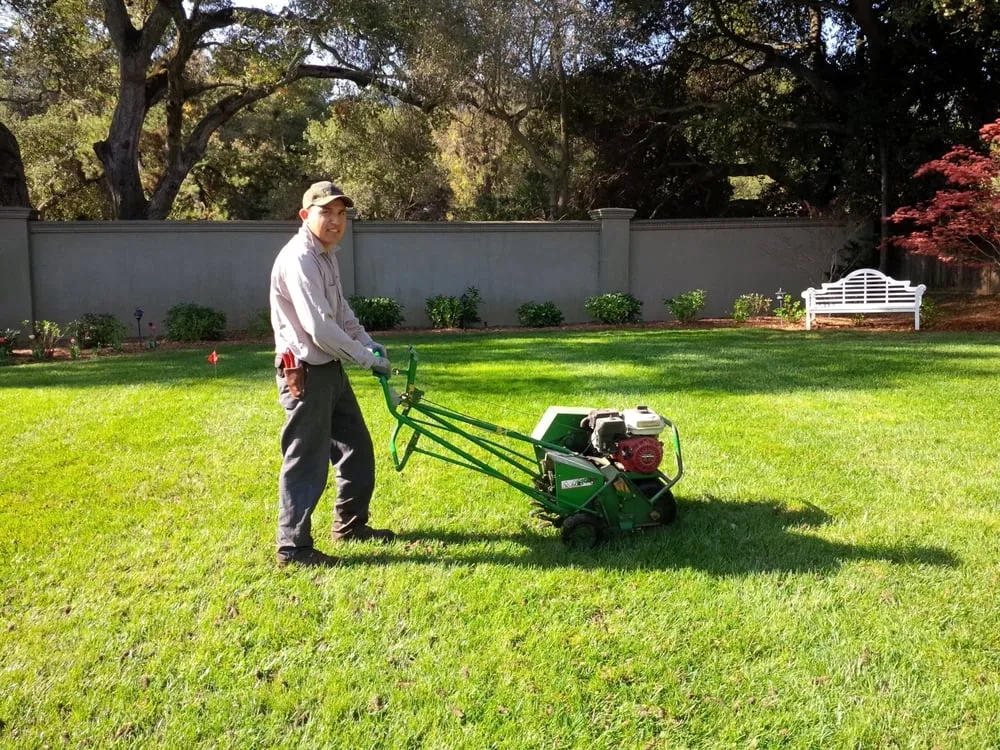 Top-rated residential landscaping for residential properties across Daly City, CA - Masterpiece Gardens & Design