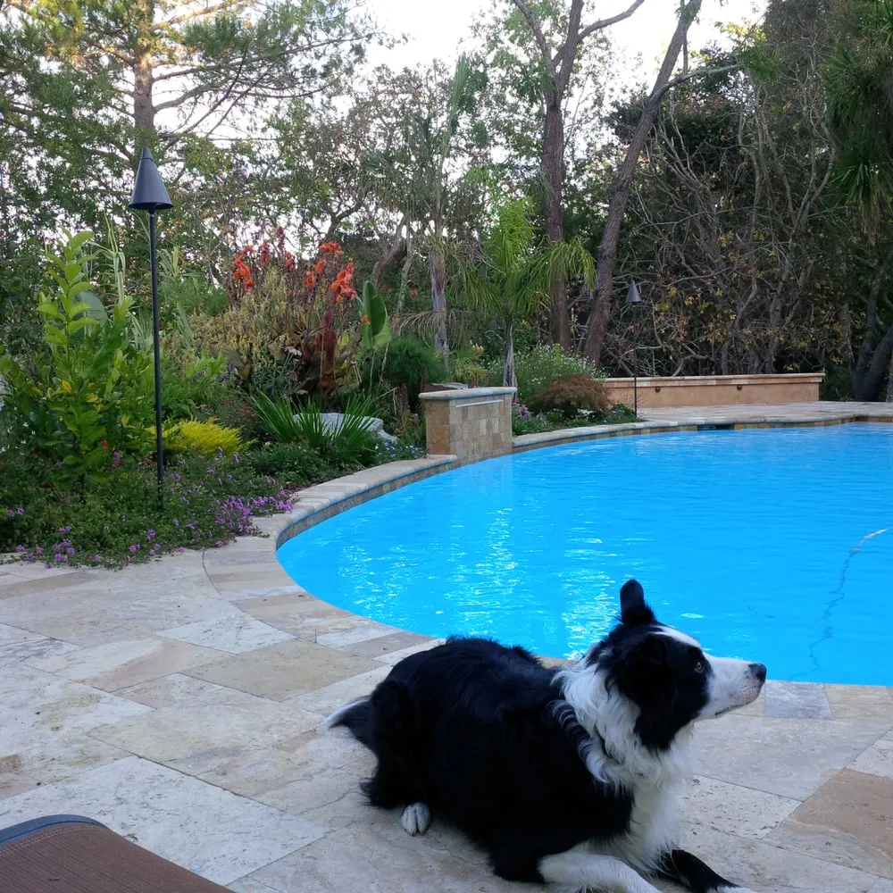 Affordable yard cleanup service in Daly City, CA - Masterpiece Gardens & Design