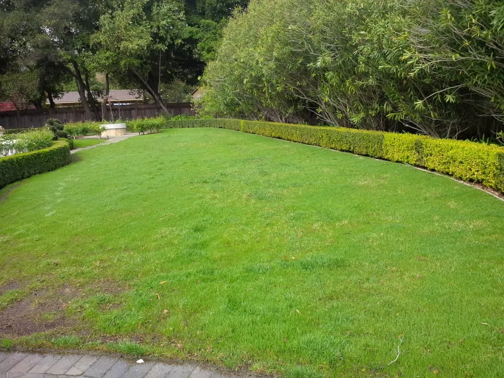 Trusted lawn mowing service experts serving Daly City, CA - Masterpiece Gardens & Design