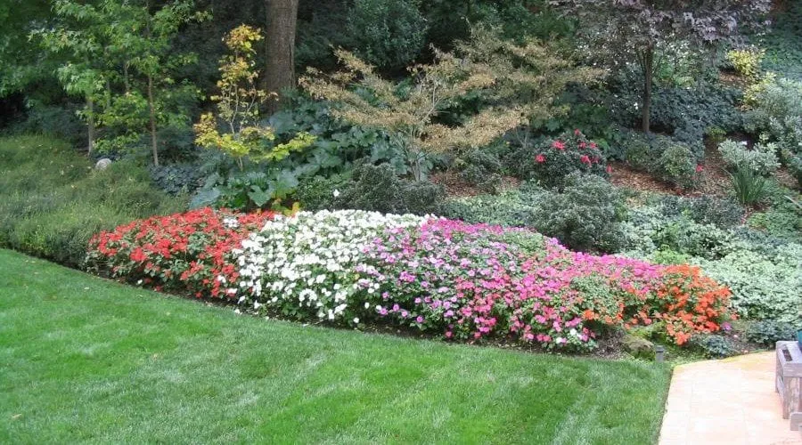 Top-rated yard cleanup service in Daly City, CA - Masterpiece Gardens & Design