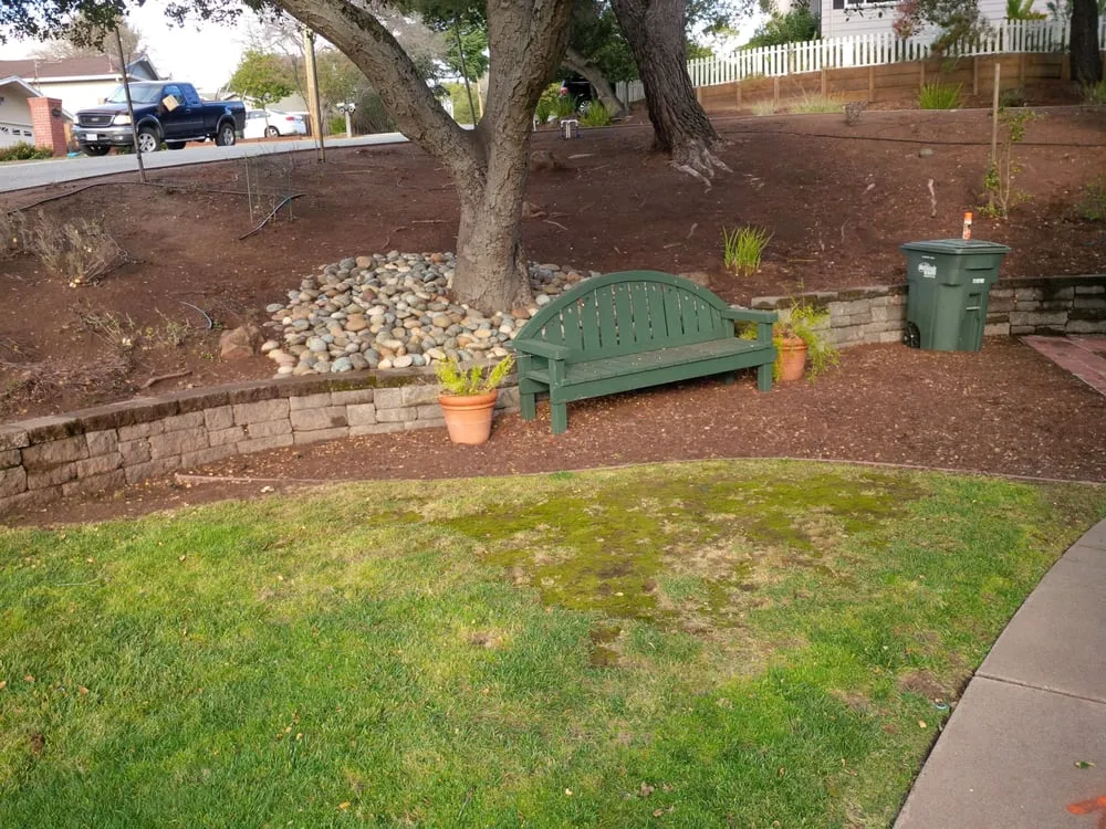 Professional outdoor landscaping near you across Daly City, CA - Masterpiece Gardens & Design