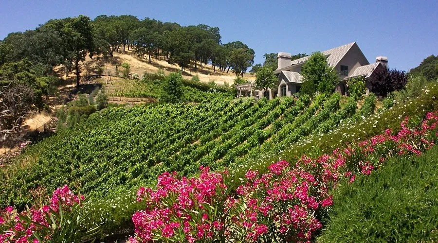 Reliable lawn mowing service near you across Daly City, CA - Masterpiece Gardens & Design