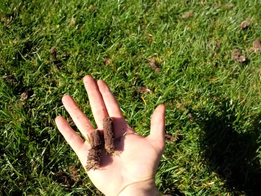 Masterpiece Gardens & Design Logo