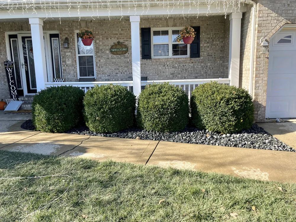 Reliable landscape design in Collinsville, IL - Masterpiece Landscaping