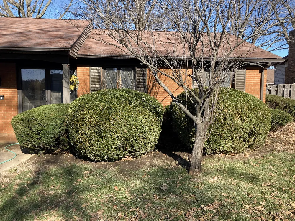 Local residential landscaping near you across Collinsville, IL - Masterpiece Landscaping