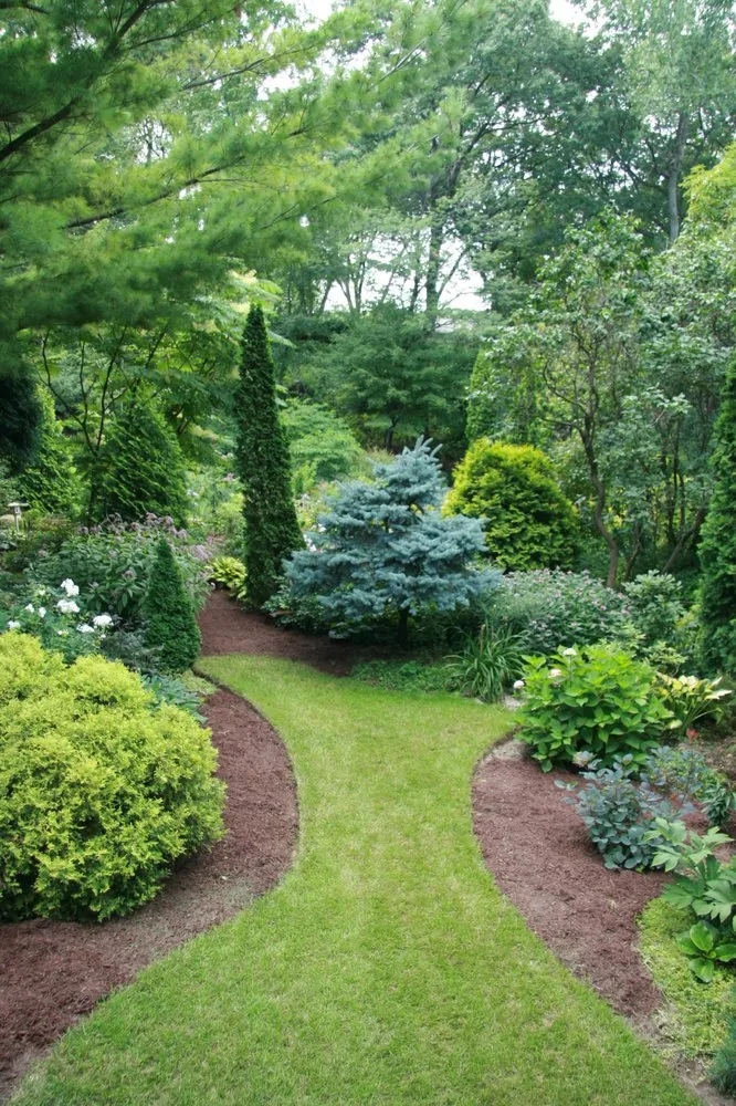 Custom yard cleanup service experts serving Minnetonka, MN - Masterpiece Landscaping
