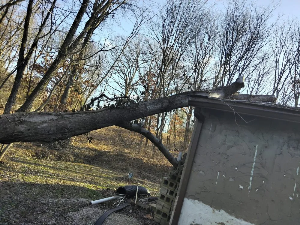 Local lawn care service for year-round maintenance across Louisville, KY - Masterpiece Property Management