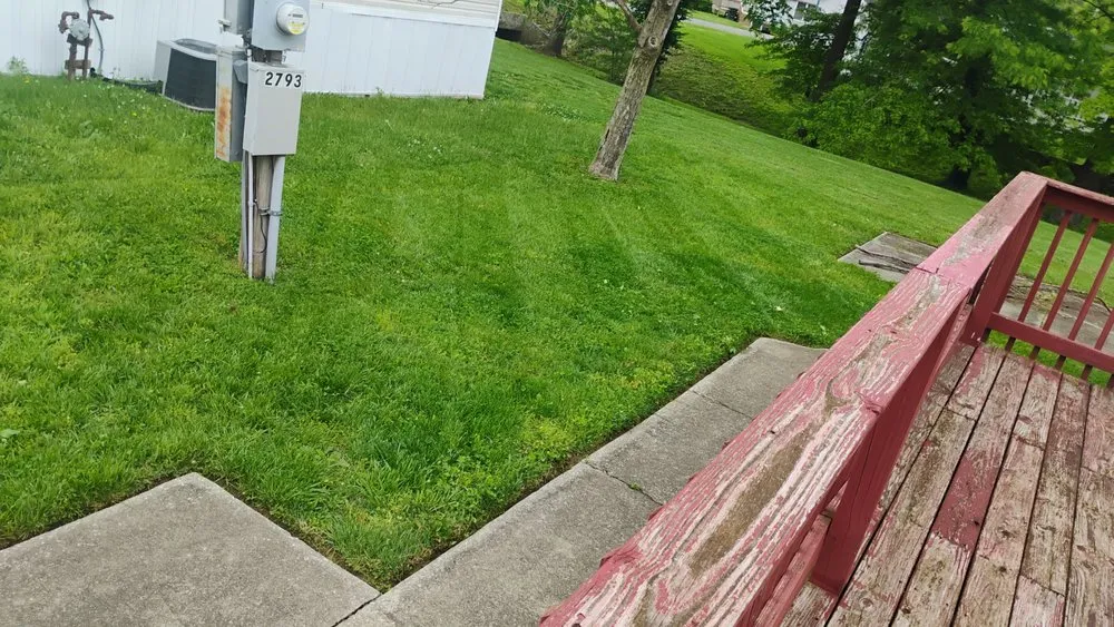 Reliable yard cleanup service experts serving Louisville, KY - Masterpiece Property Management