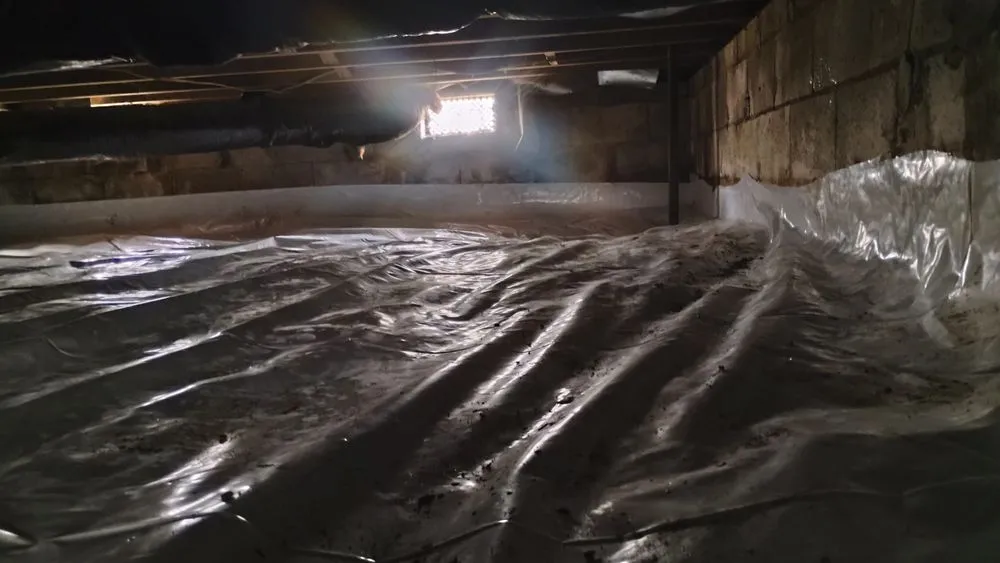 Trusted yard cleanup service in Louisville, KY by Masterpiece Property Management