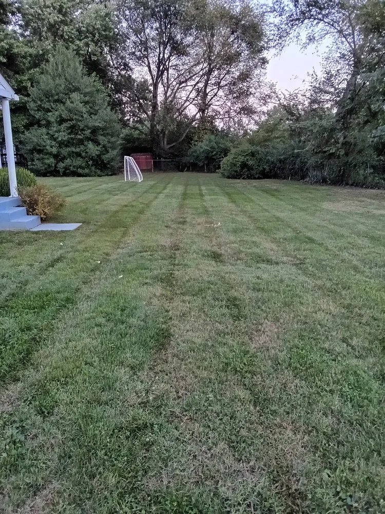 Affordable residential landscaping experts serving Louisville, KY - Masterpiece Property Management