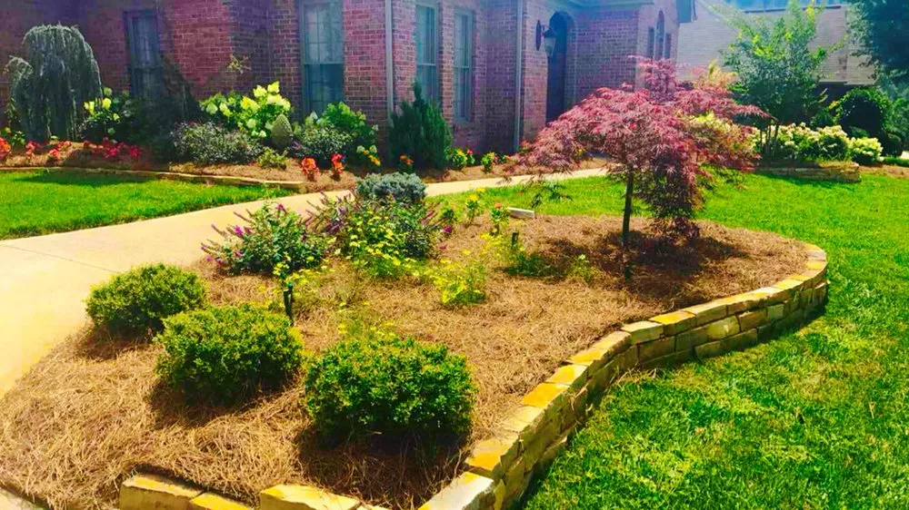 Trusted lawn care service in Knoxville, TN by Masters Estate and Property Landscaping