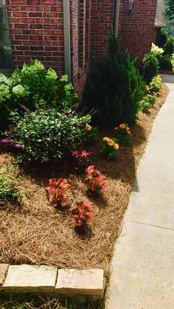 Top-rated outdoor landscaping experts serving Knoxville, TN - Masters Estate and Property Landscaping