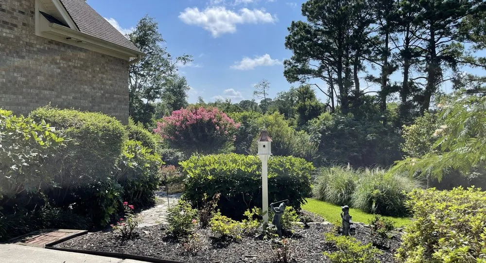 Reliable yard cleanup service experts serving Wilmington, NC - Masters Landscape & Design