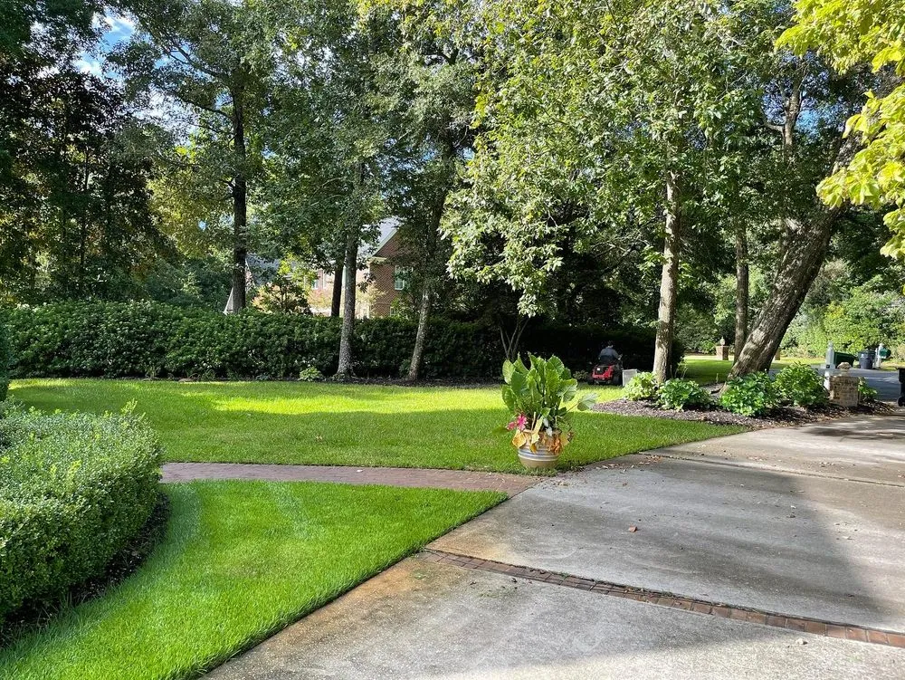 Top-rated residential landscaping in Wilmington, NC - Masters Landscape & Design