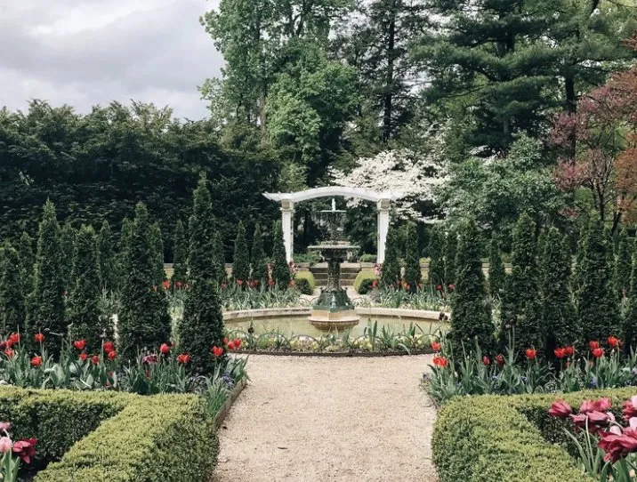 Expert yard cleanup service experts serving Wilmington, NC - Masters Landscape & Design