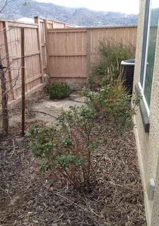 Custom landscaping services in Reno, NV by Master's Tree And Lawn Care