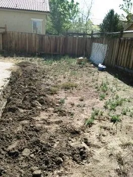 Custom landscaping services in Reno, NV by Master's Tree And Lawn Care