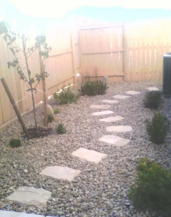 Professional yard cleanup service experts serving Reno, NV - Master's Tree And Lawn Care