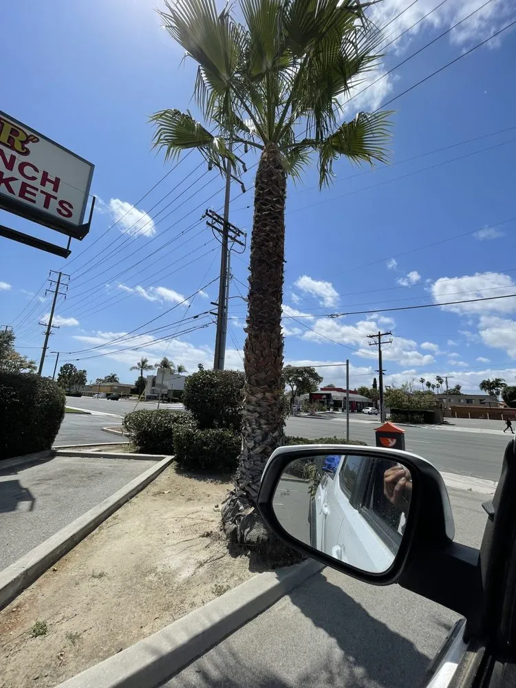 Affordable lawn care service experts serving Riverside, CA - Master’s Tree Service and Landscaping