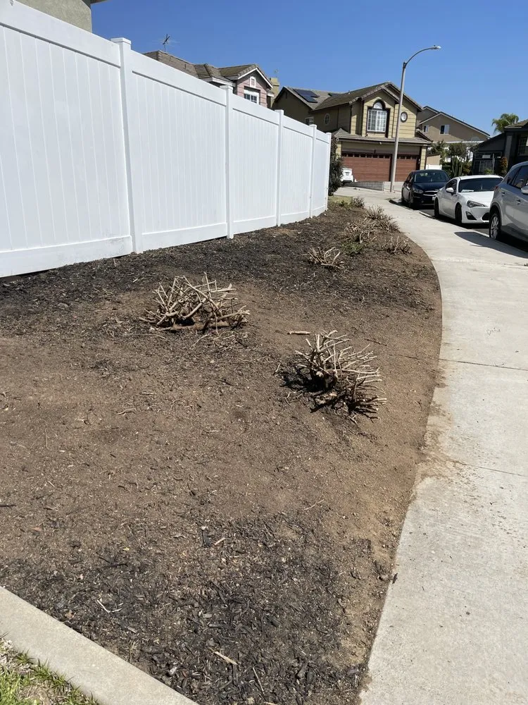 Affordable residential landscaping near you across Riverside, CA - Master’s Tree Service and Landscaping