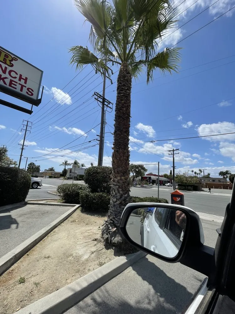 Top-rated landscaping services experts serving Riverside, CA - Master’s Tree Service and Landscaping