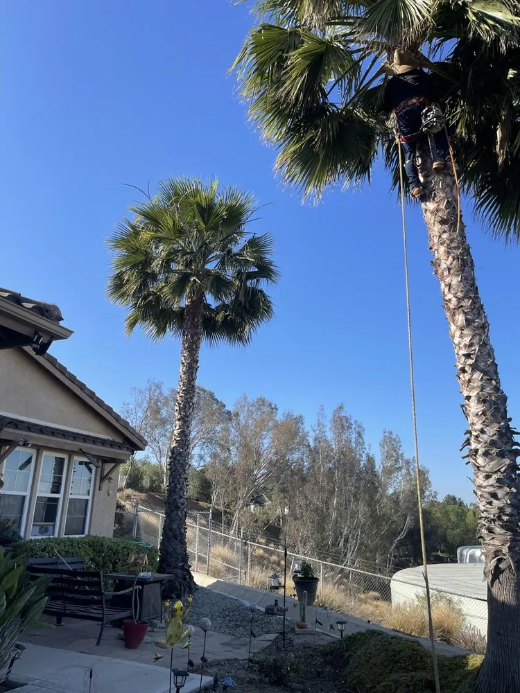 Reliable lawn care service experts serving Riverside, CA - Master’s Tree Service and Landscaping