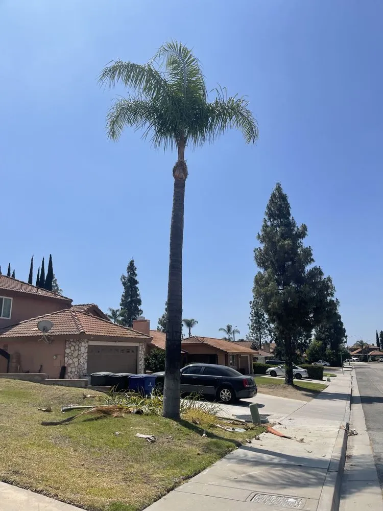 Affordable residential landscaping for beautiful yards in Riverside, CA by Master’s Tree Service and Landscaping