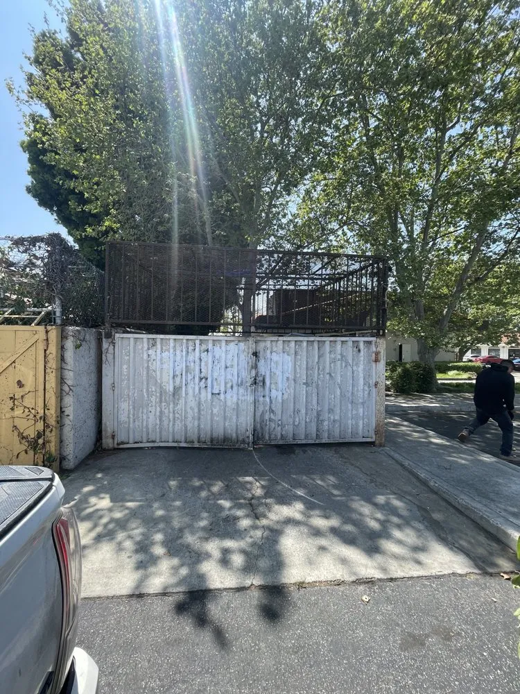 Top-rated yard cleanup service experts serving Riverside, CA - Master’s Tree Service and Landscaping