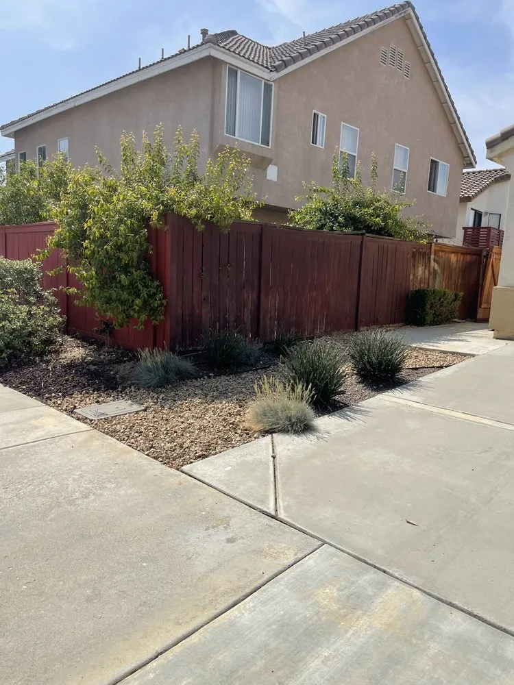 Professional yard maintenance in Riverside, CA - Master’s Tree Service and Landscaping