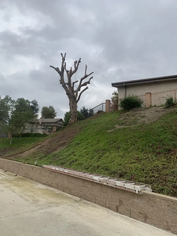 Custom landscape design near you in Riverside, CA by Master’s Tree Service and Landscaping