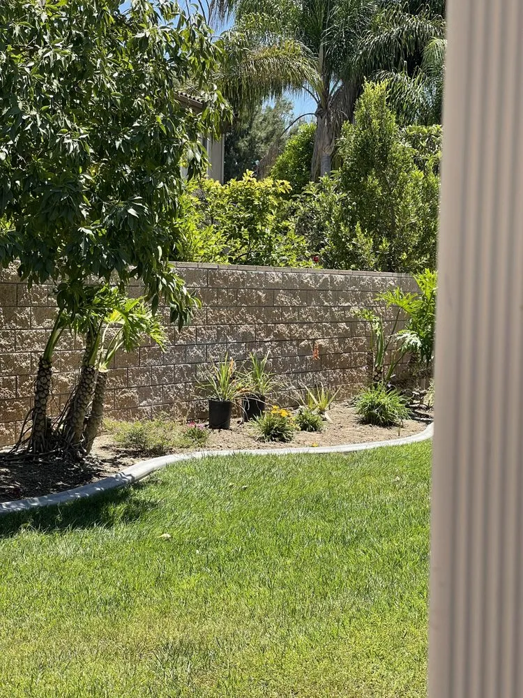 Reliable lawn mowing service for beautiful yards across Riverside, CA - Master’s Tree Service and Landscaping