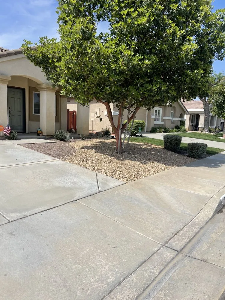Affordable outdoor landscaping for year-round maintenance in Riverside, CA by Master’s Tree Service and Landscaping
