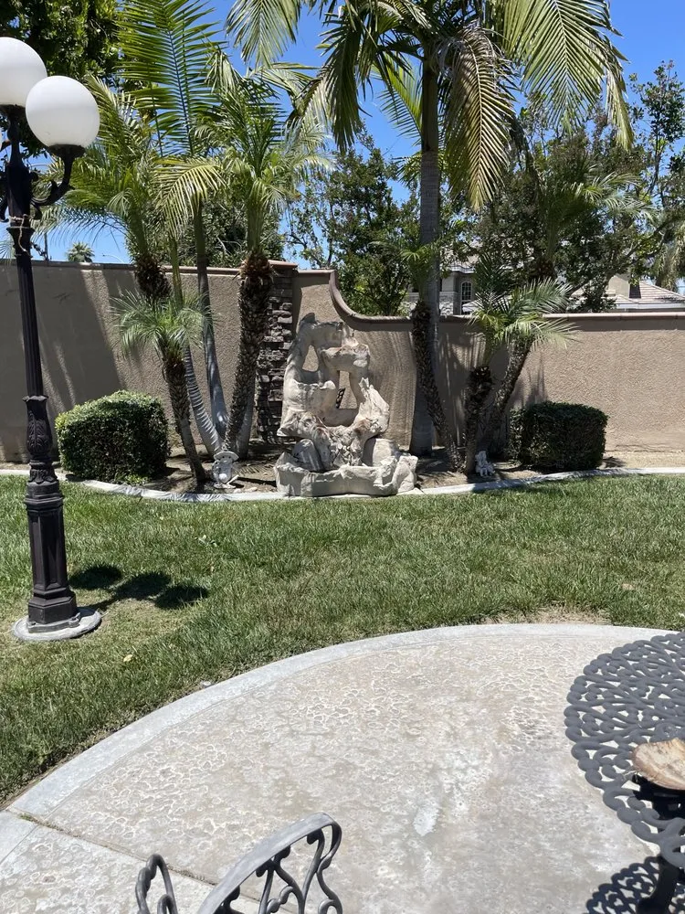 Professional yard cleanup service in Riverside, CA by Master’s Tree Service and Landscaping