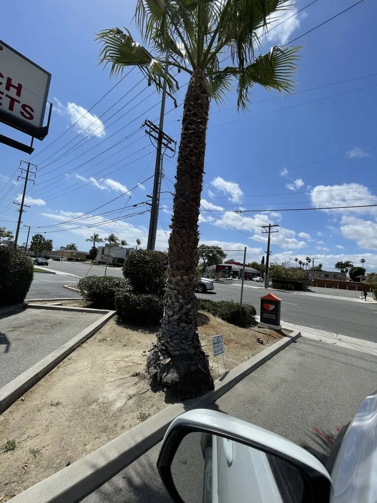 Reliable residential landscaping in Riverside, CA - Master’s Tree Service and Landscaping